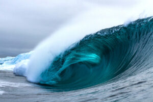 OBPN-new environmental-label